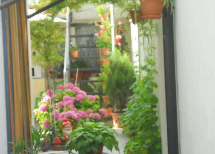 Dom Eli Apartament *